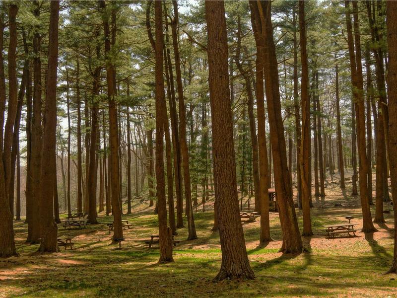 sudoku focus mode screenshot 5